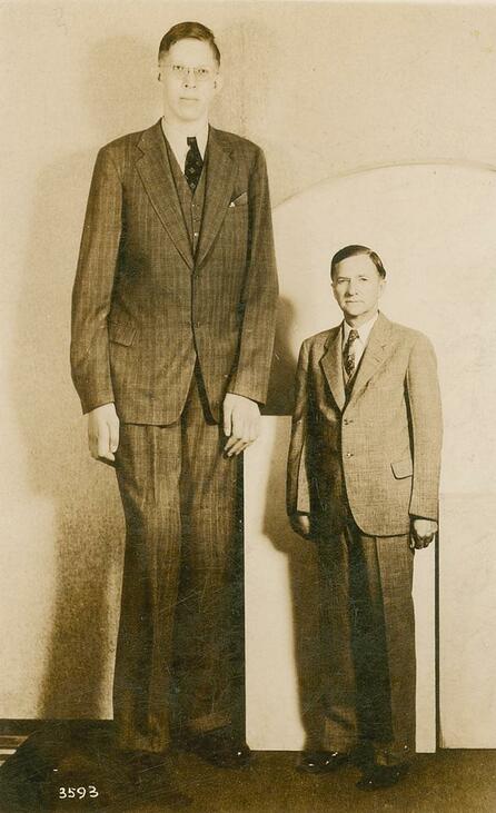 testmagasság Robert Pershing Wadlow