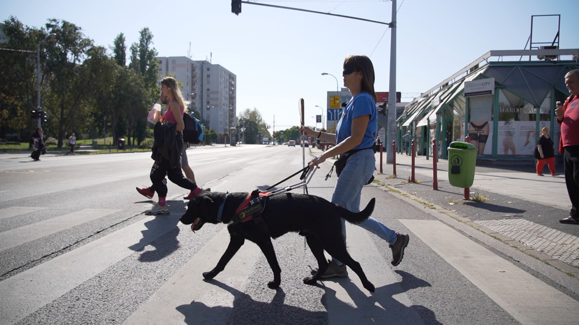 kutya kutyatartás Csányi Vilmos etológia Kőrösi Máté