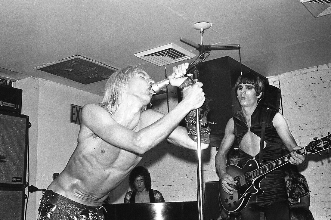 zene punk Iggy Pop