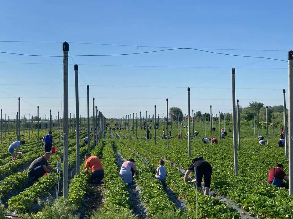 megelőzés klímaváltozás éghajlatváltozás növénytermesztés felmelegedés