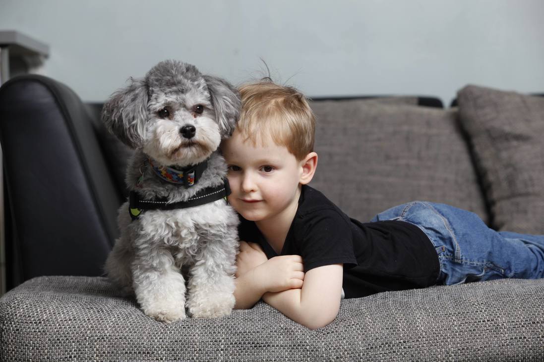 egy kisfiú és egy kutya összebújva